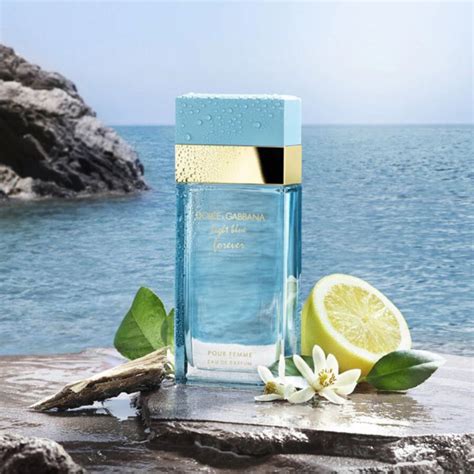 dolce gabbana light blue forever women|d&g light blue fragrantica.